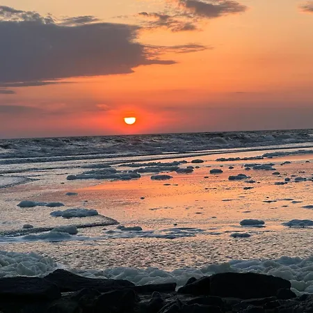 Wangerrose - Familienwohnung Fuer Gross Und Klein Und Hundefreunde *